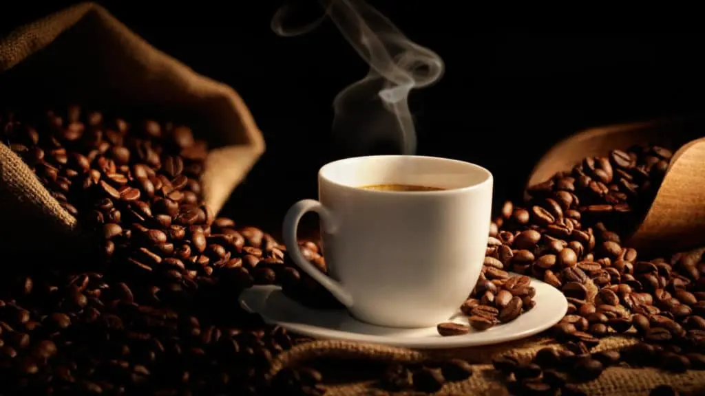 Café Pluma, sabor de la sierra oaxaqueña.